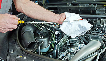 Яку оливую вибрати? Рекомендації щодо підбору